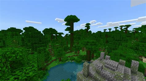 forest biome minecraft|minecraft all biomes list.